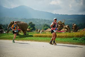 BIB: 
                            <button type="button" onclick="openModal(22435297)" class="btn btn-primary btn-sm float-right btn-popup" data-toggle="modal" data-target=".modal-high-quality">
                        <i class="fas fa-shopping-cart"></i> Add to Cart
                    </button>
                                            <button type="button" onclick="isThisMe(22435297, true)" class="btn btn-success btn-sm float-right btn-popup btn-isme hidden" data-toggle="tooltip" data-placement="bottom" title="นี่คือรูปของคุณใช่ไหม คลิกที่นี่เพื่อเอาเข้าอัลบั้ม">
                        <i class="fas fa-plus"></i> Add to album
                    </button>
                    <button type="button" onclick="isThisMe(22435297, false)" class="btn btn-warning btn-sm float-right btn-popup btn-isnotme hidden">
                        <i class="fas fa-ban"></i> Remove from album
                    </button>